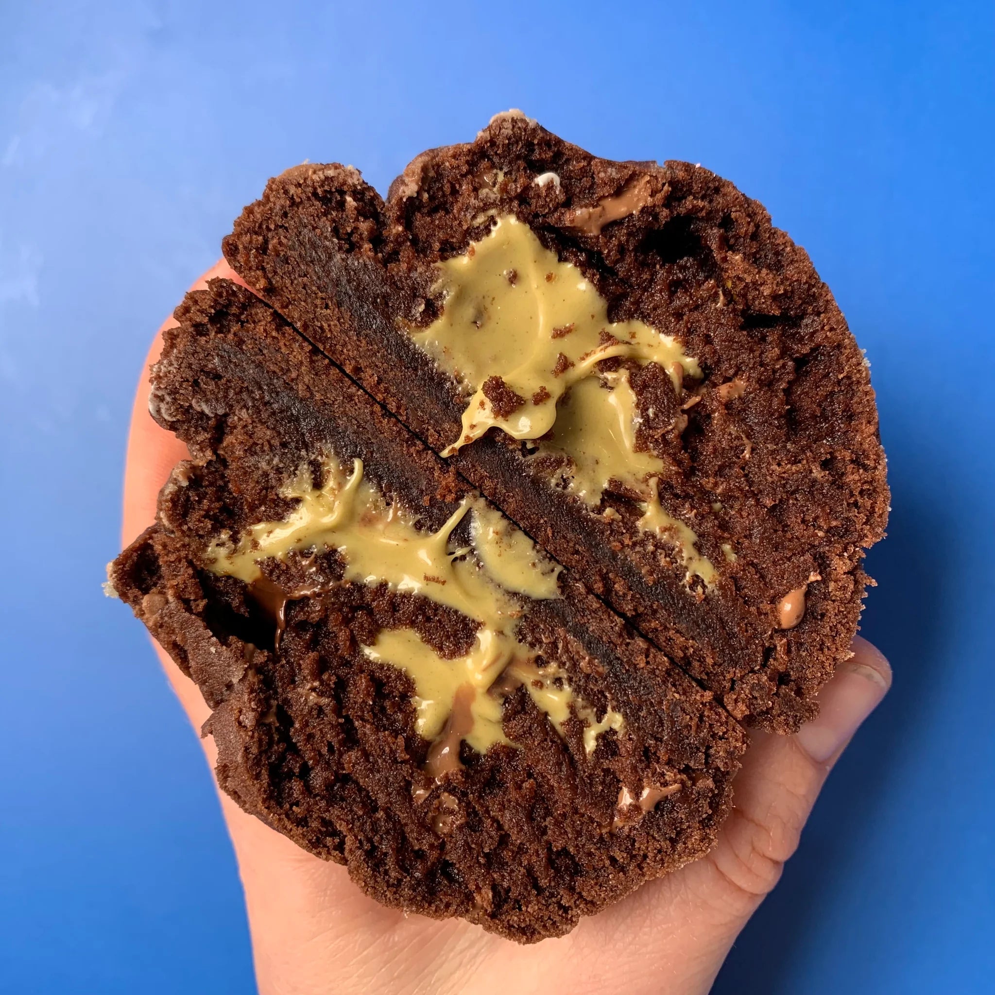 Pistachio & Dark Chocolate Cookie - Cool Hog Snacks