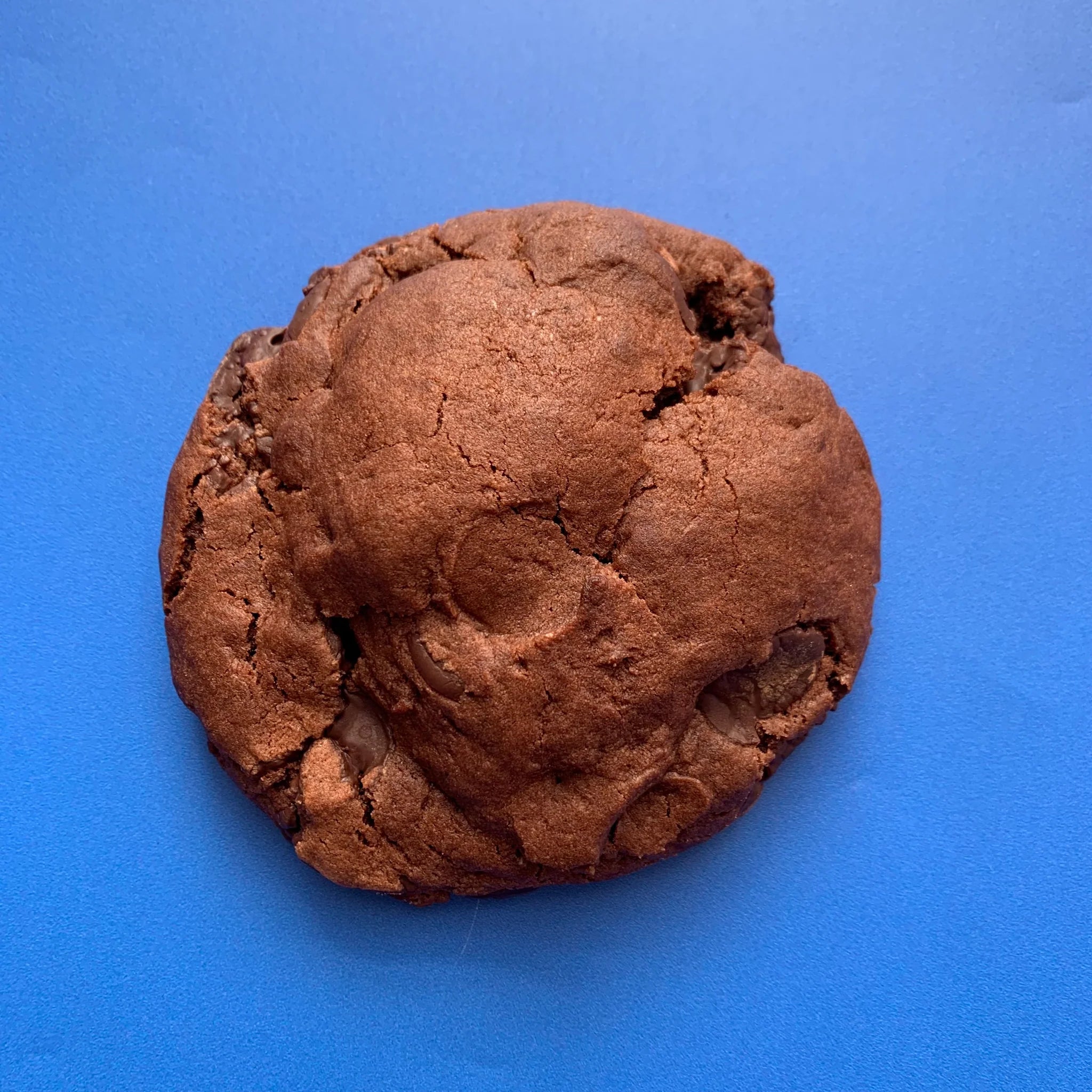 Raspberry & Dark Chocolate Cookie - Cool Hog Snacks