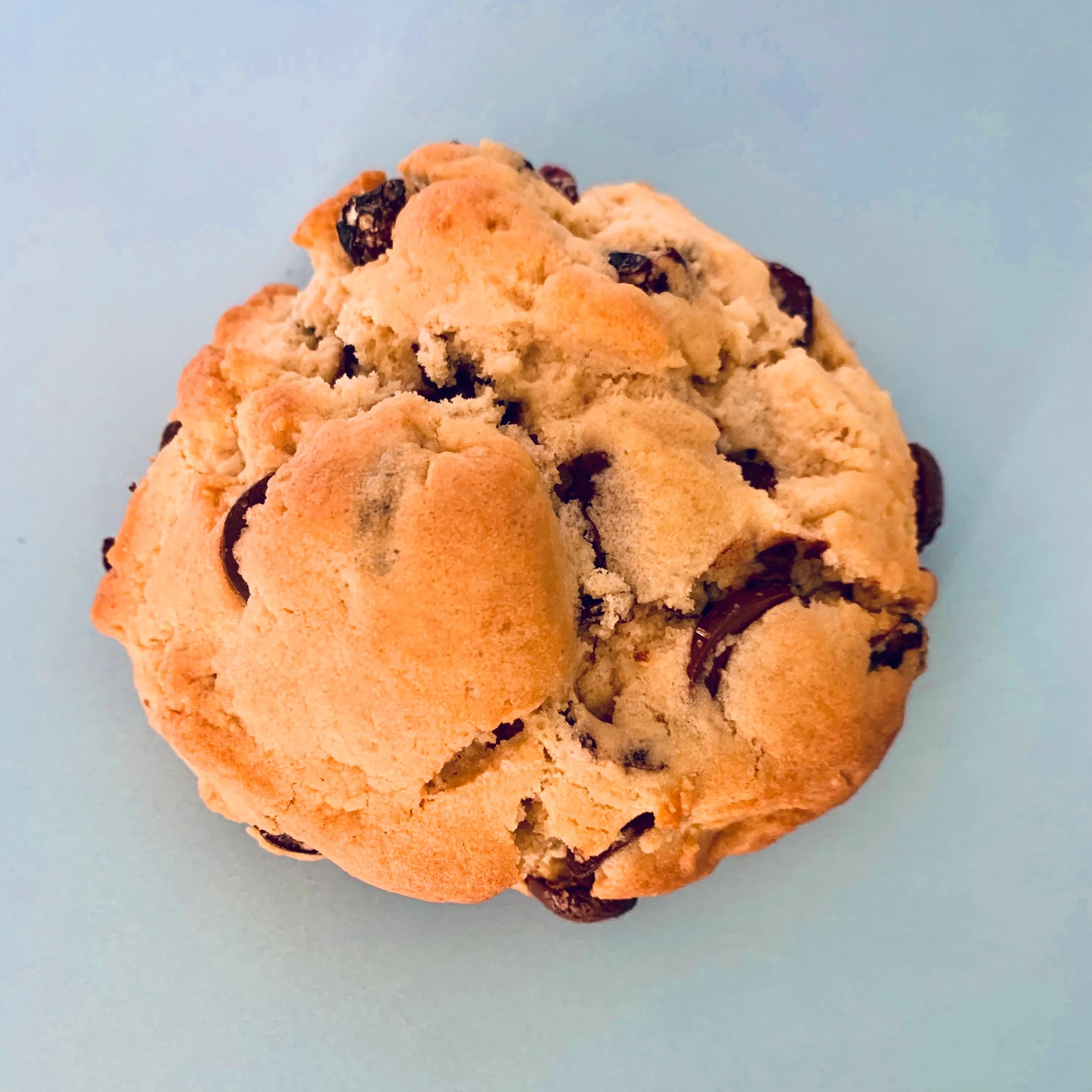 Cranberry & Orange Cookie